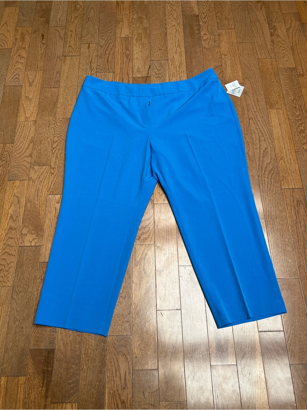 Kasper Vibrant Blue Pants Size 24 new with tags!